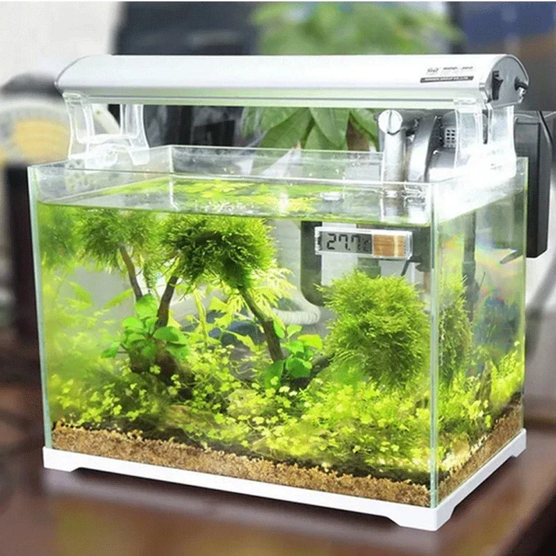 Termômetro de aquário eletrôni - Aquarium Fish Uk avaliação e preço