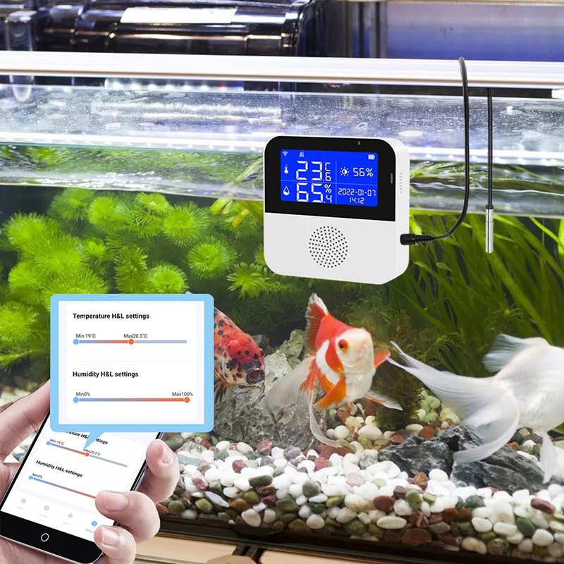 WiFi Tuya Sensor de Temperatur - Aquarium Fish Uk avaliação e preço