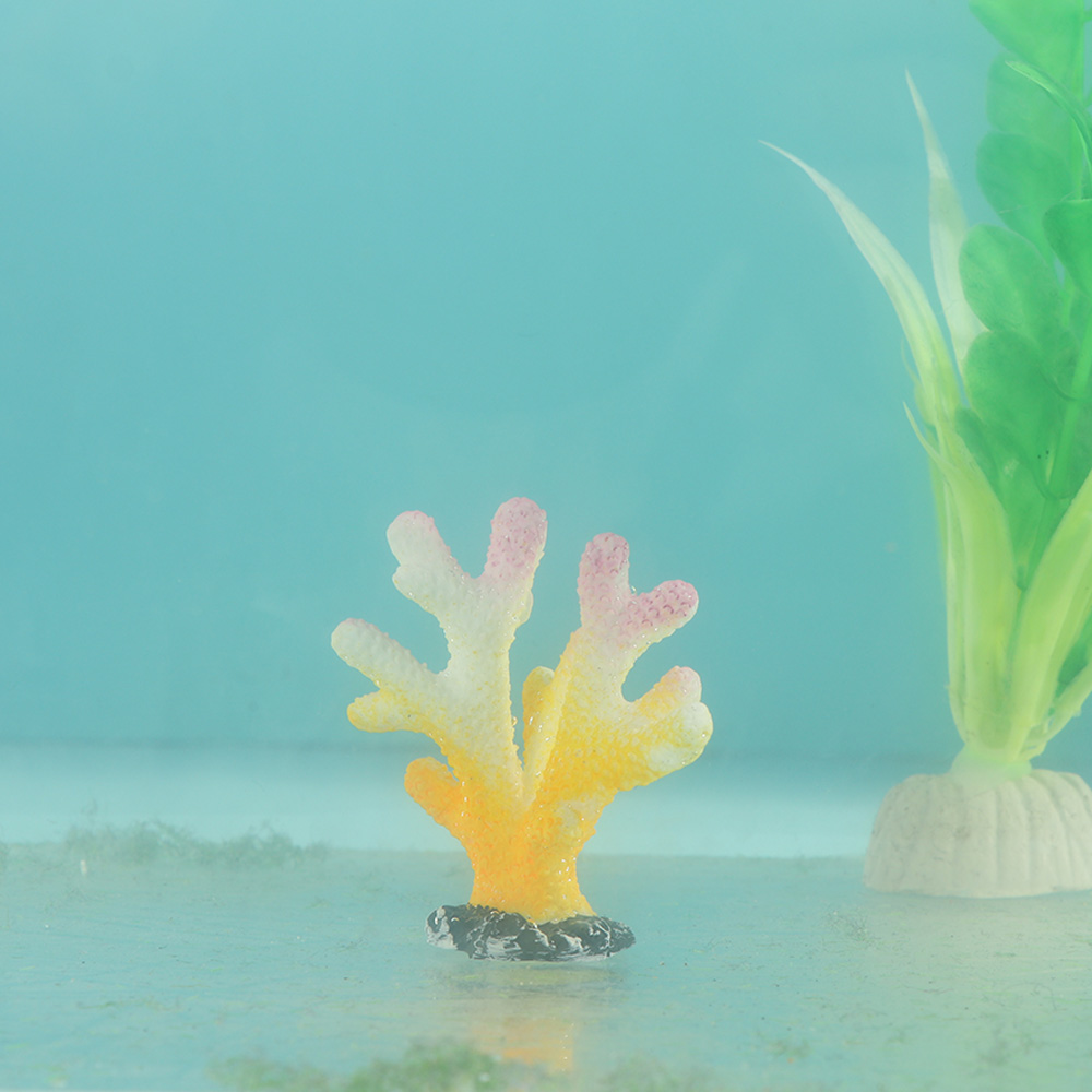 Ornamentos para tanque de peix - Aquarium Fish Types avaliação e preço