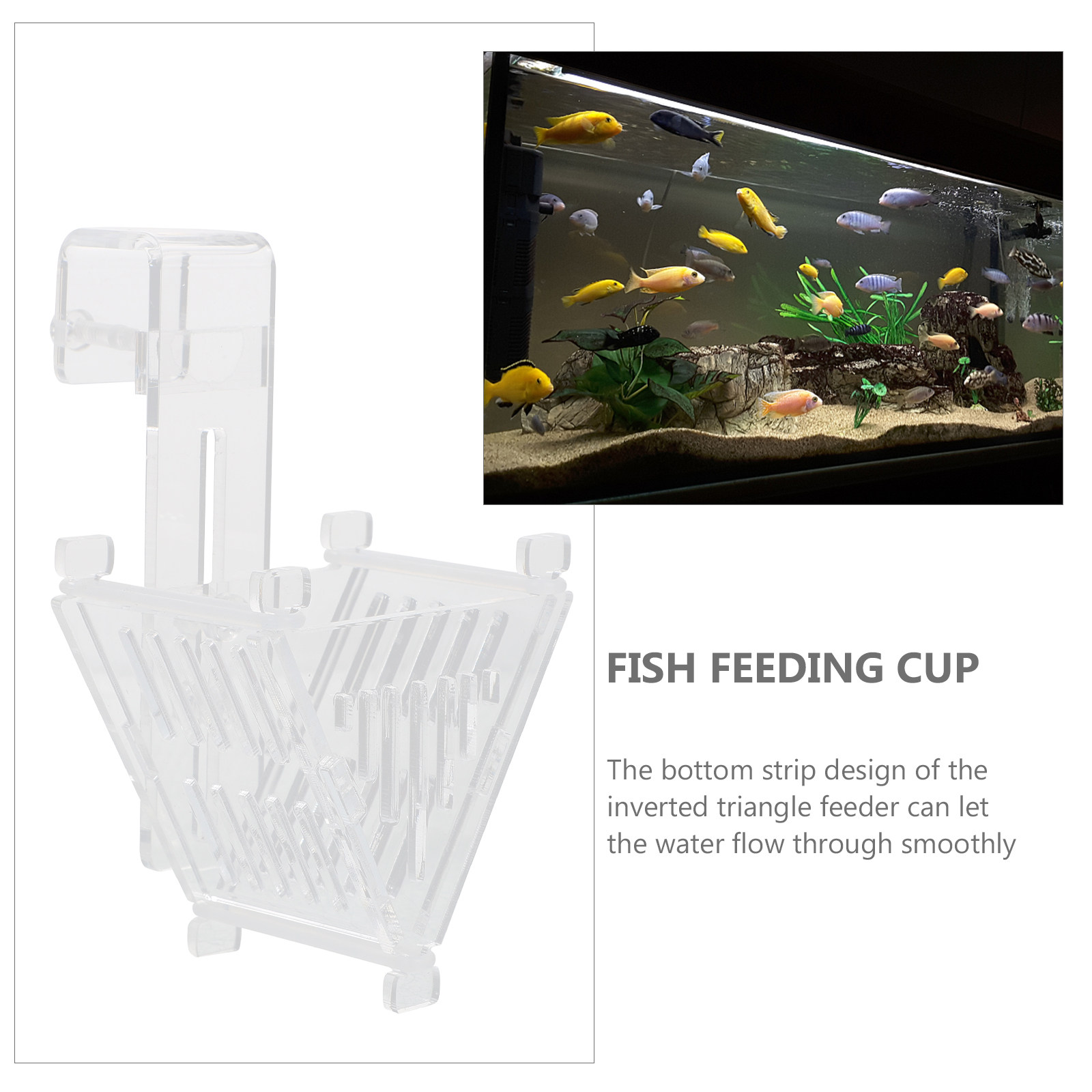 Copo de alimentação para peixe - Aquarium Fish Types avaliação e preço