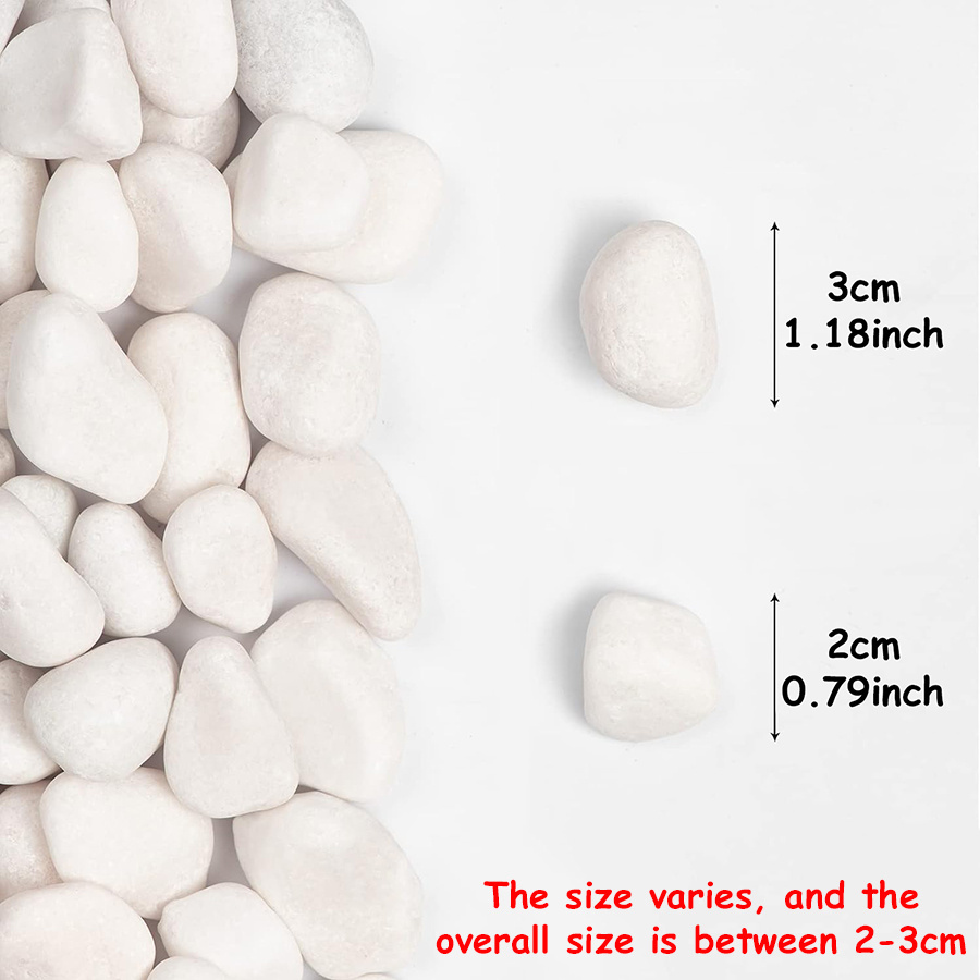 200/400g branco alto polido se - Aquarium Fish Types avaliação e preço
