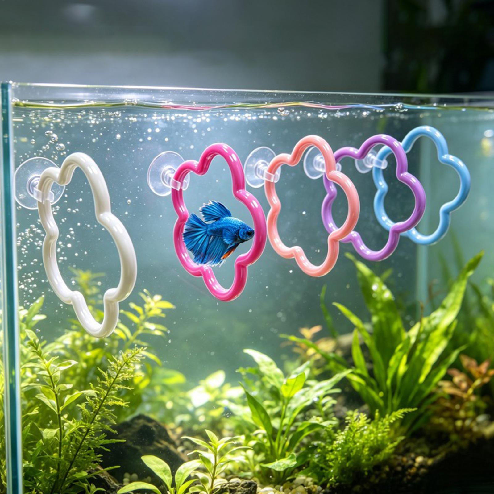Brinquedos para Peixe Betta, 5 - Aquarium Fish Colorful avaliação e preço