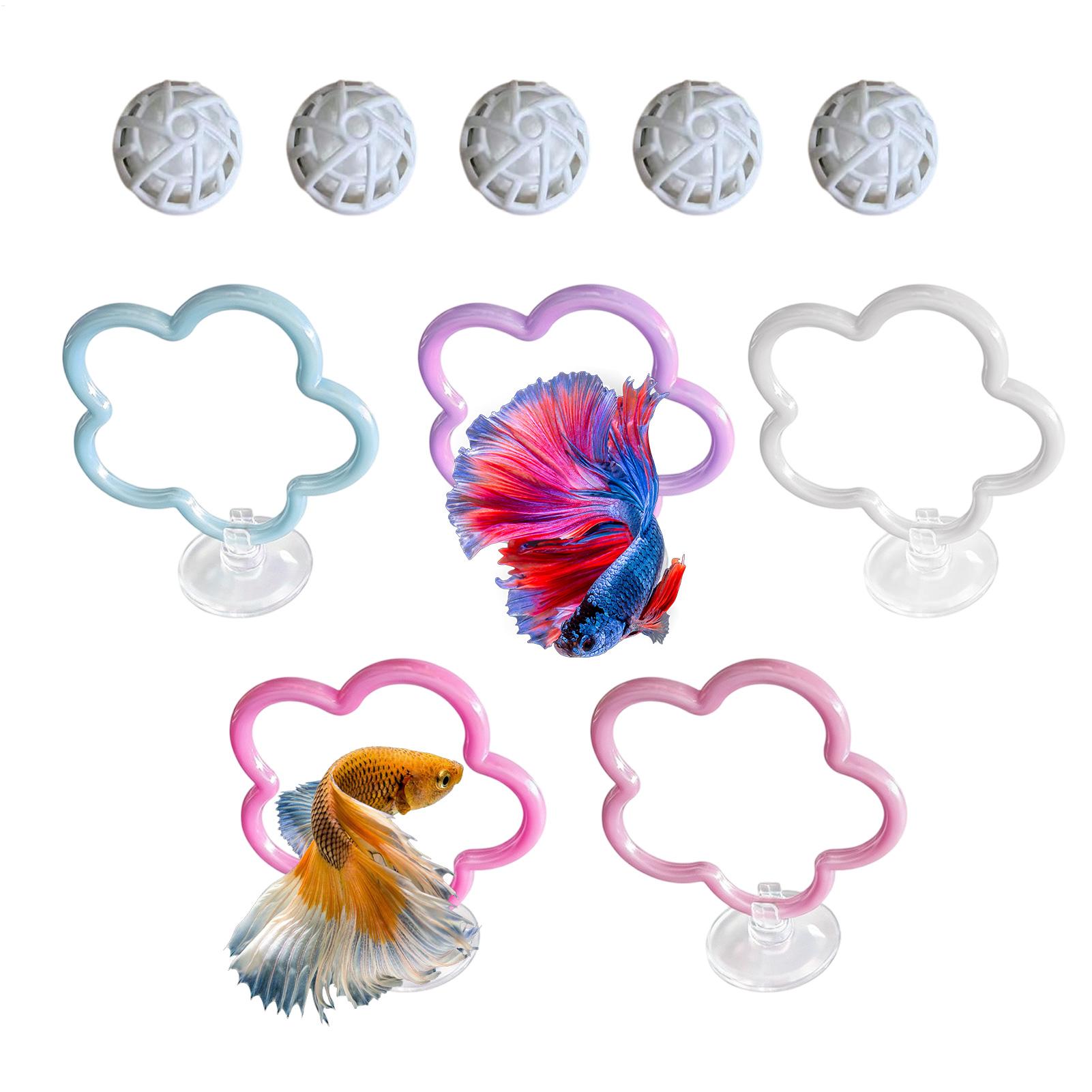 Brinquedos para Peixe Betta, 5 - Aquarium Fish Colorful avaliação e preço