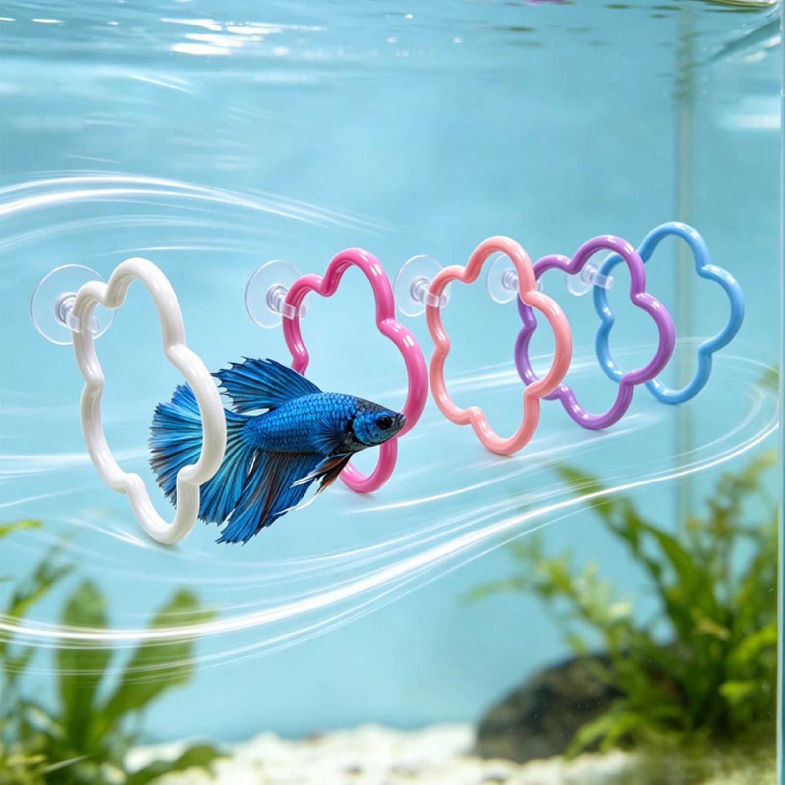 Brinquedos para Peixe Betta, 5 - Aquarium Fish Colorful avaliação e preço