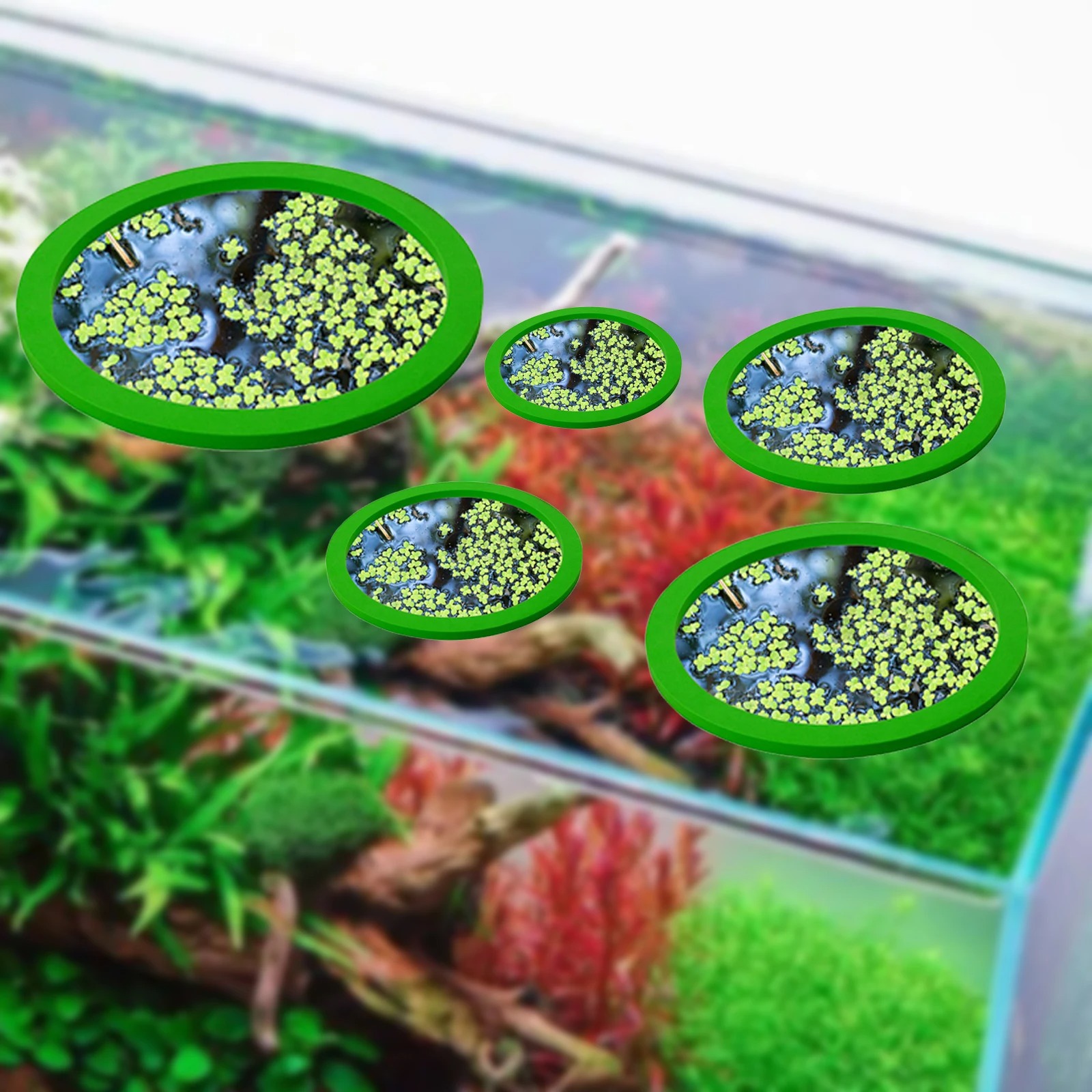 5 pçs eva anel de alimentação  - Aquarium Fish Types avaliação e preço