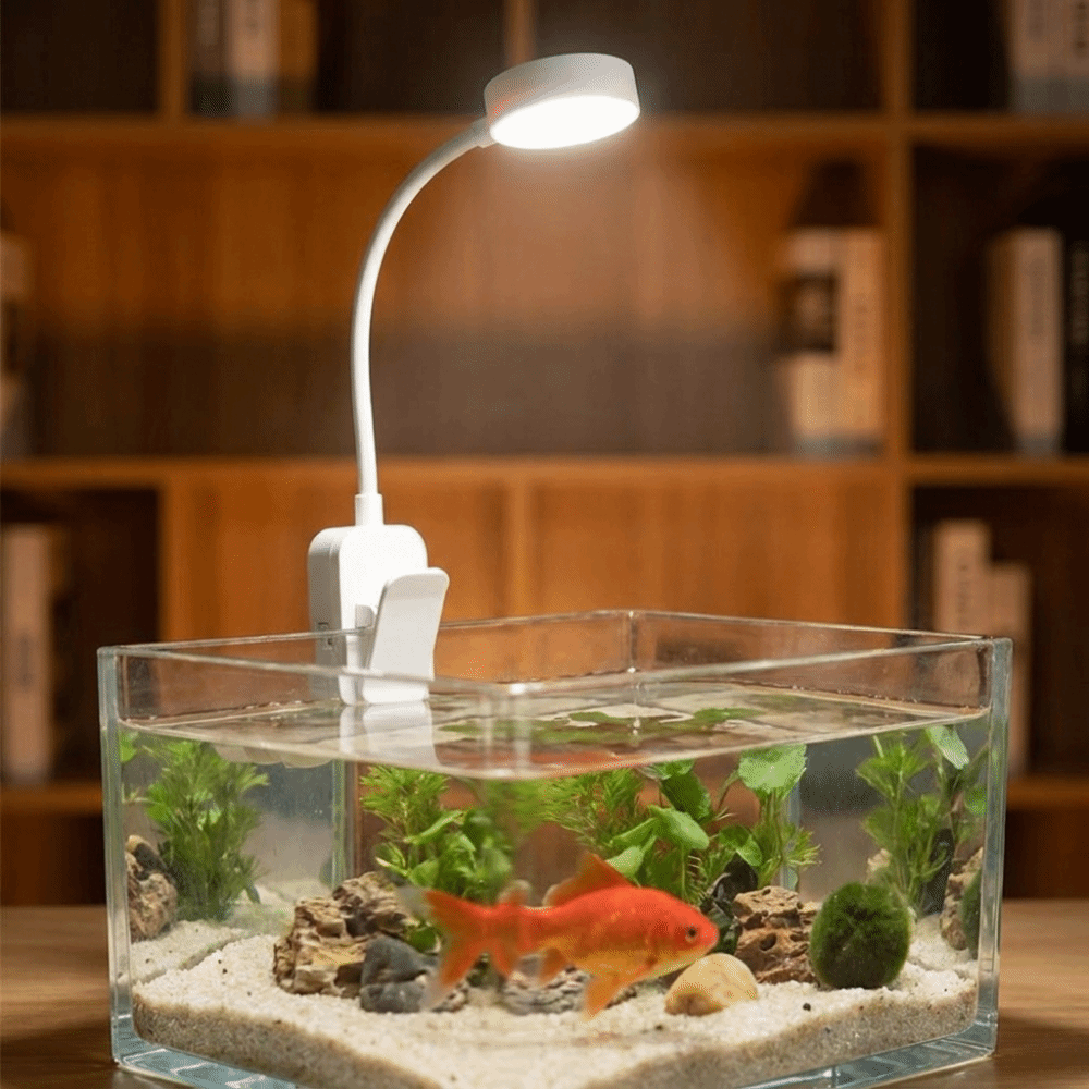 360 °   Lâmpada de Clipe Rotat - Aquarium Fish Colorful avaliação e preço