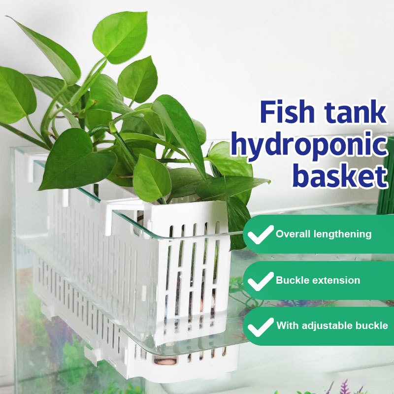 【F】Suporte Suspenso para Plant - Aquarium Fish Types avaliação e preço