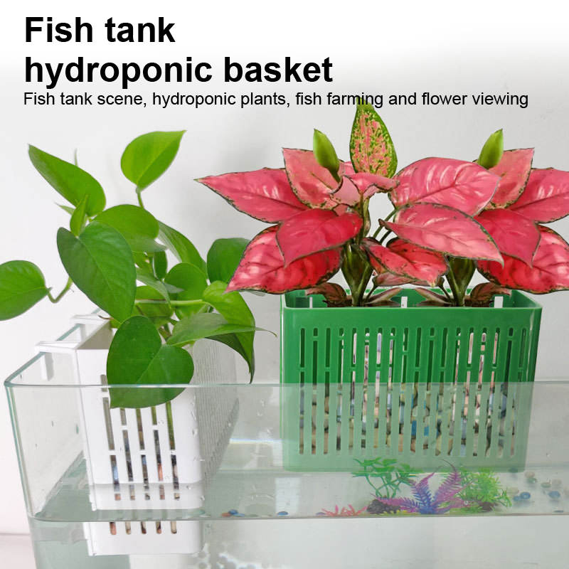 【F】Suporte Suspenso para Plant - Aquarium Fish Types avaliação e preço